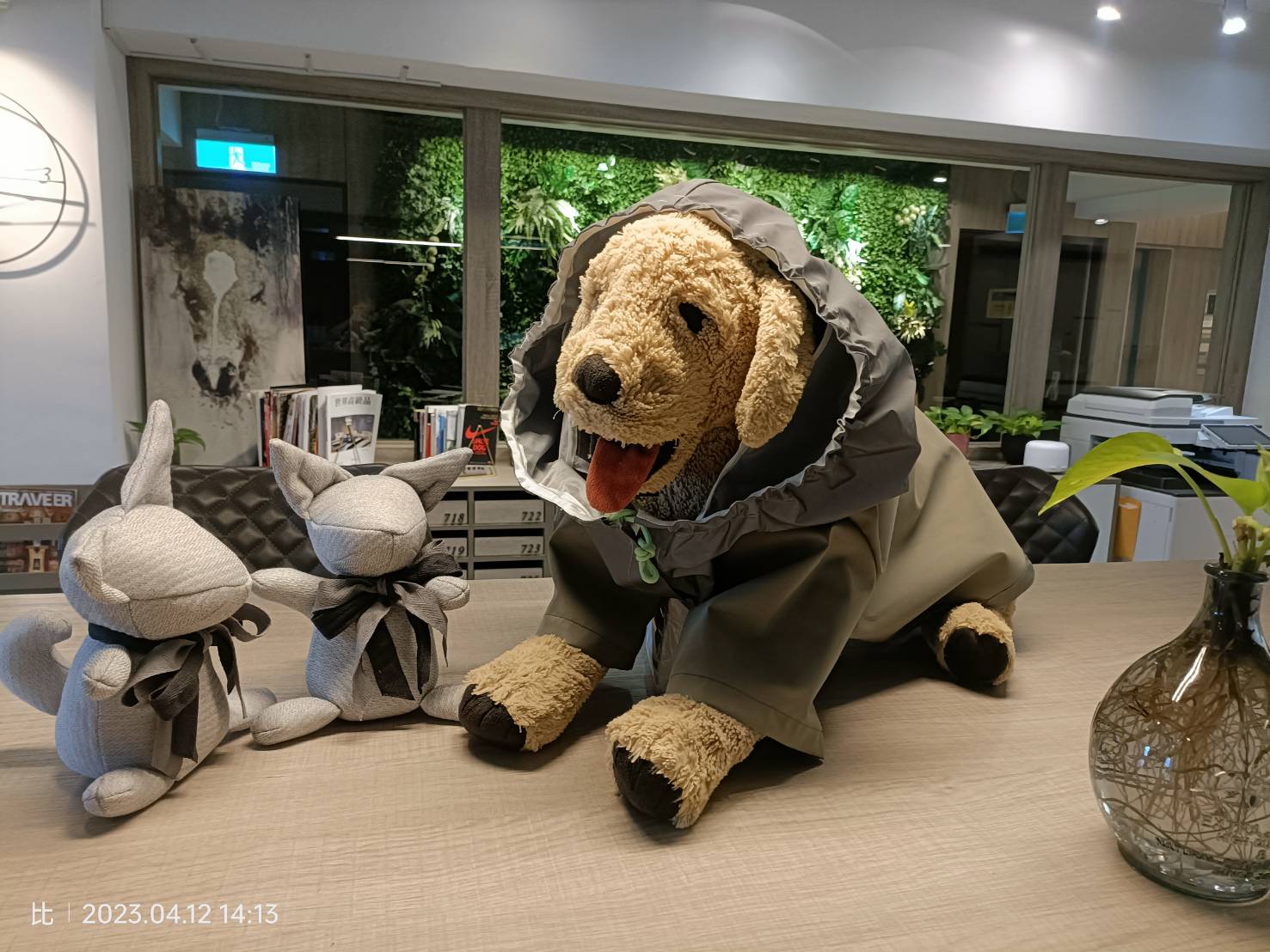 寵物狗衣 寵物狗衣